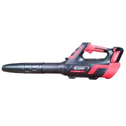 Soffiatore Blue Bird BL 22-300